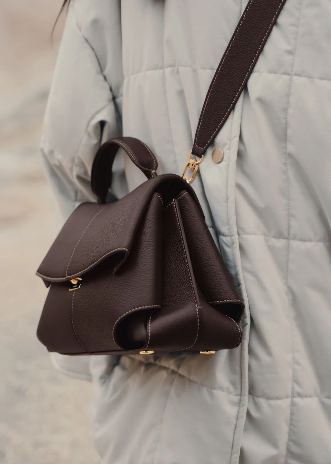 Lion Bag